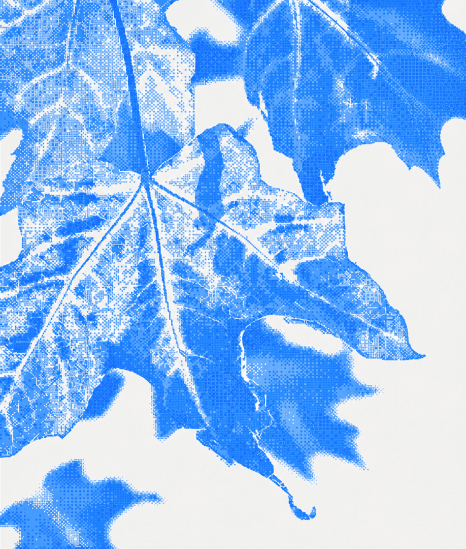 Background Graphic